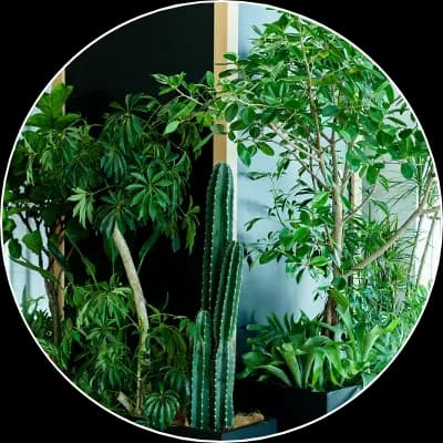 グリーンの魅力をダイナミックに引き立てるグルーピング