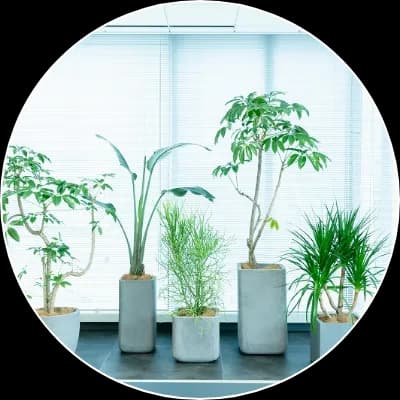 空間に合わせたコーディネート