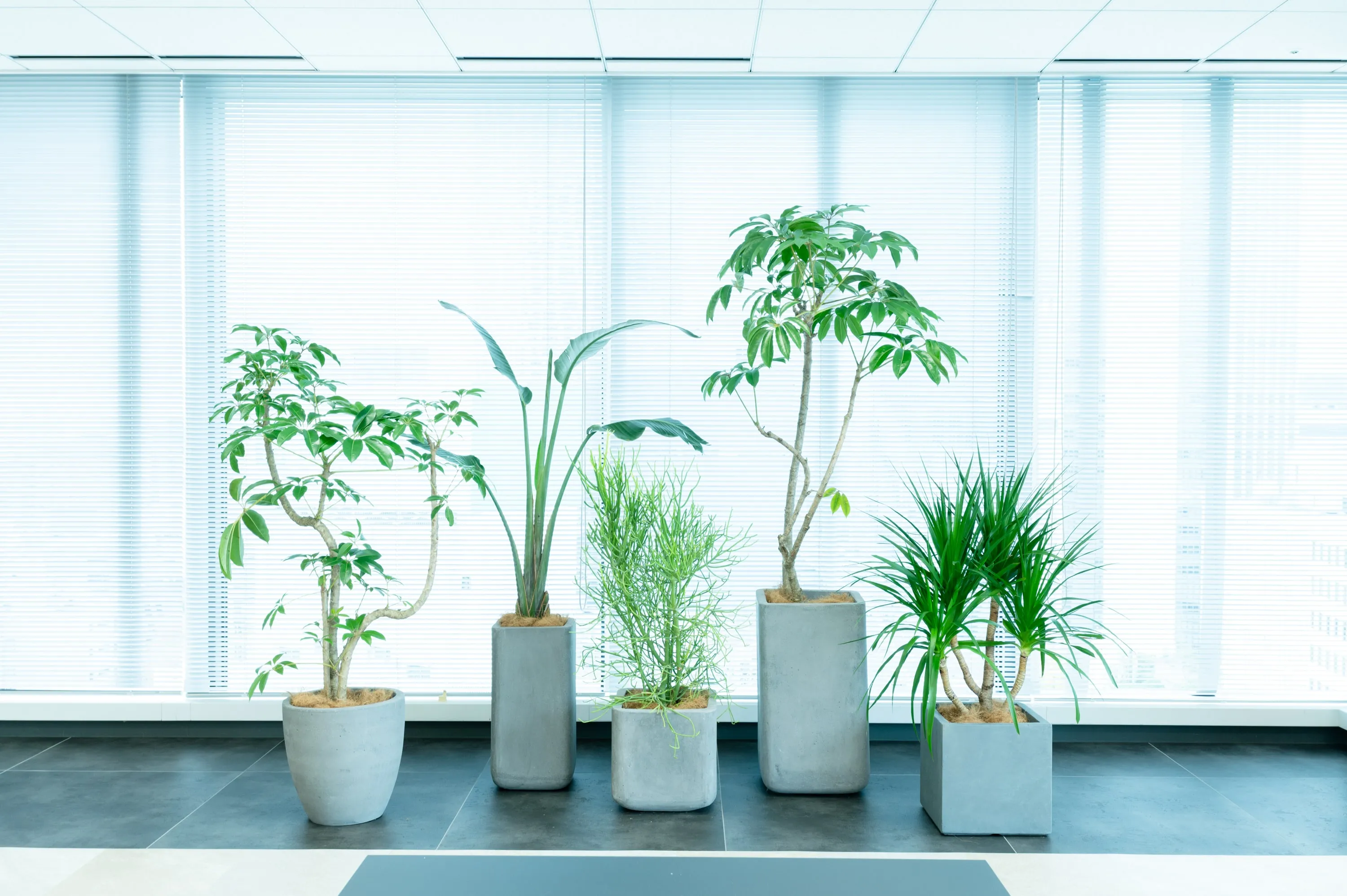 VICTOR ENTERTAINMENT_Floor 2