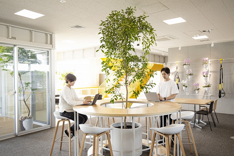 ヒキダシグリーンカンパニー・サステナビオ・サステナブル・バイオフィリックデザイン