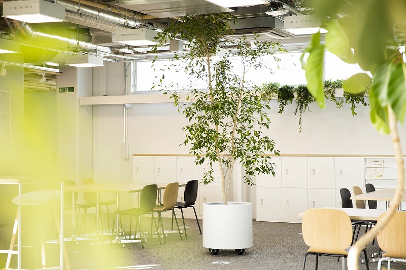 ヒキダシグリーンカンパニー・サステナビオ・サステナブル・バイオフィリックデザイン