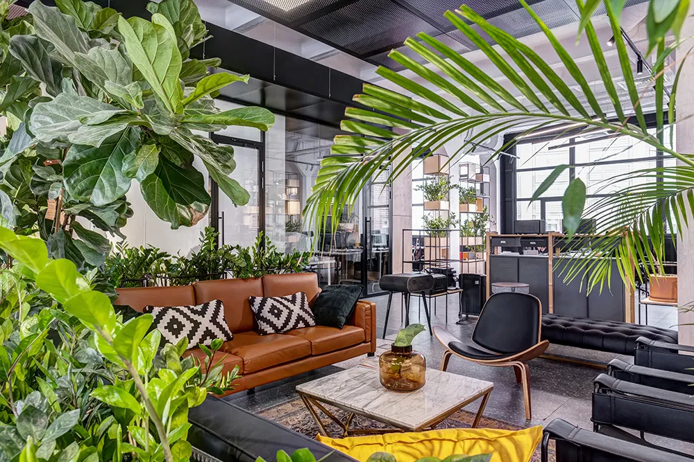 バイオフィリックデザイン オフィス