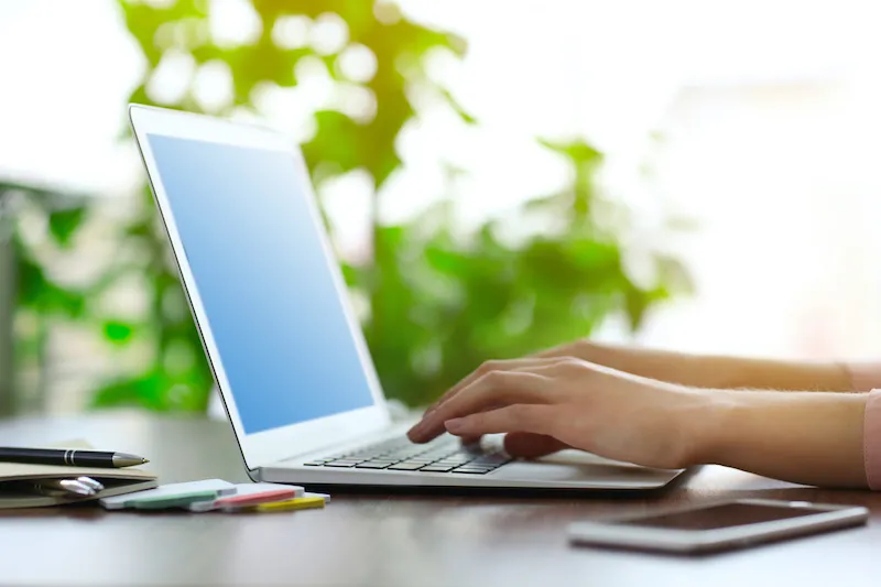 バイオフィリックデザイン オフィス