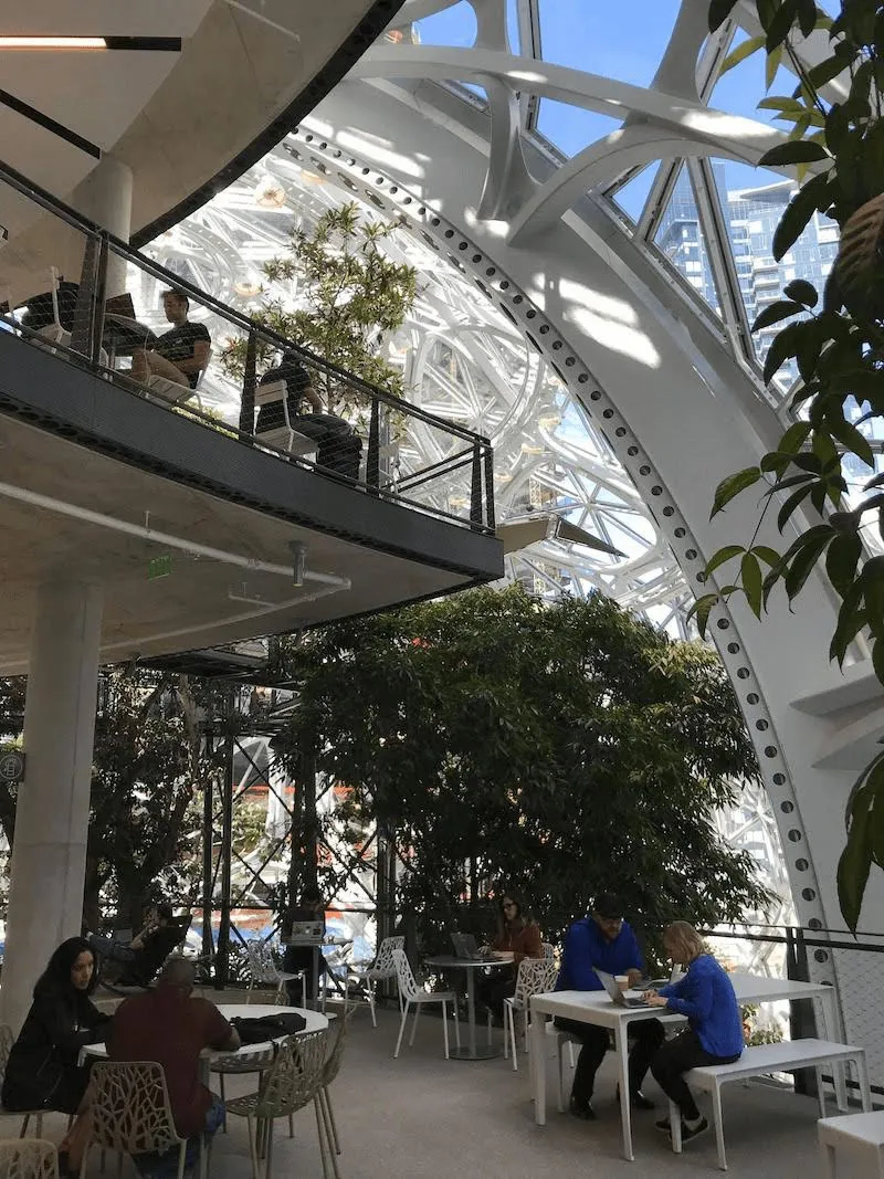 オフィス緑化 生産性