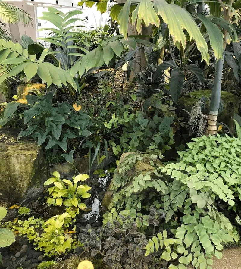 オフィス緑化 生産性