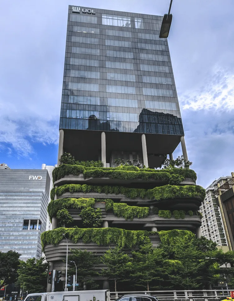 オフィス緑化 生産性