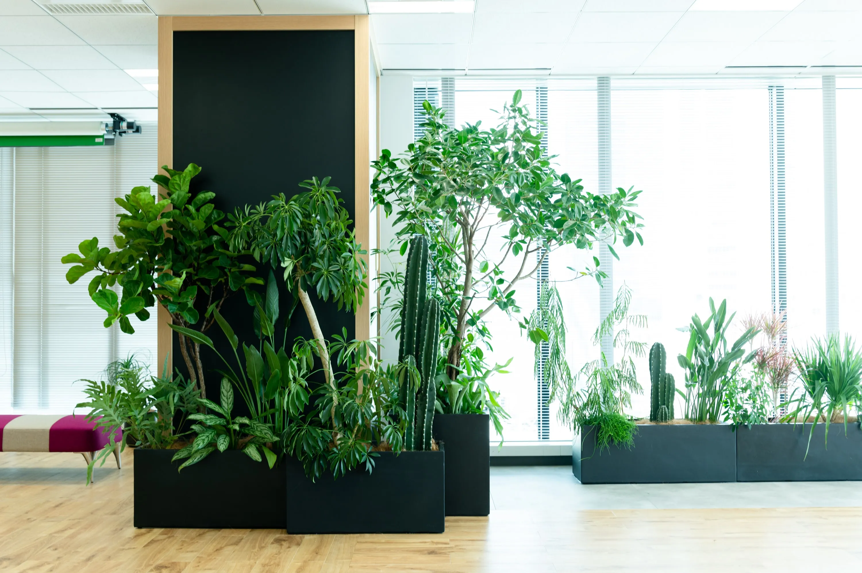 ABW/リチャージエリア